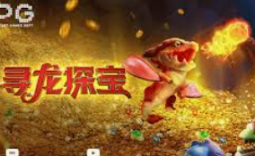 星空电竞app2024最新版